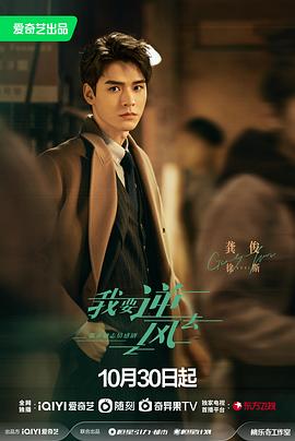 东莞seo优化网站排名